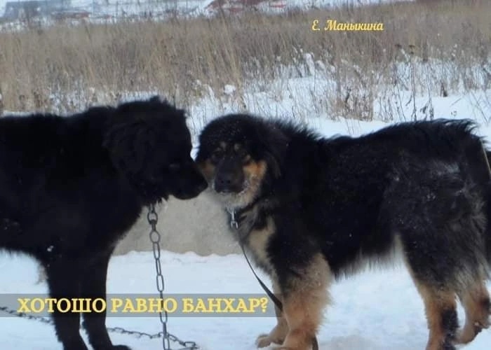 ХОТОШО РАВНО БАНХАР ?
