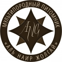 Колесникова Татьяна