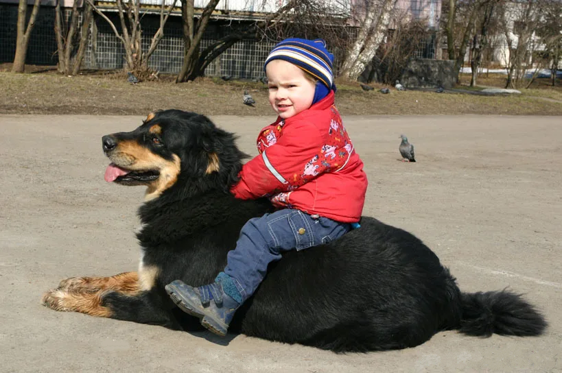 ХОТОШО И ДЕТИ 