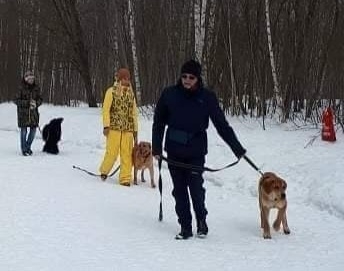 ХОТОШО В УЧЁБЕ 